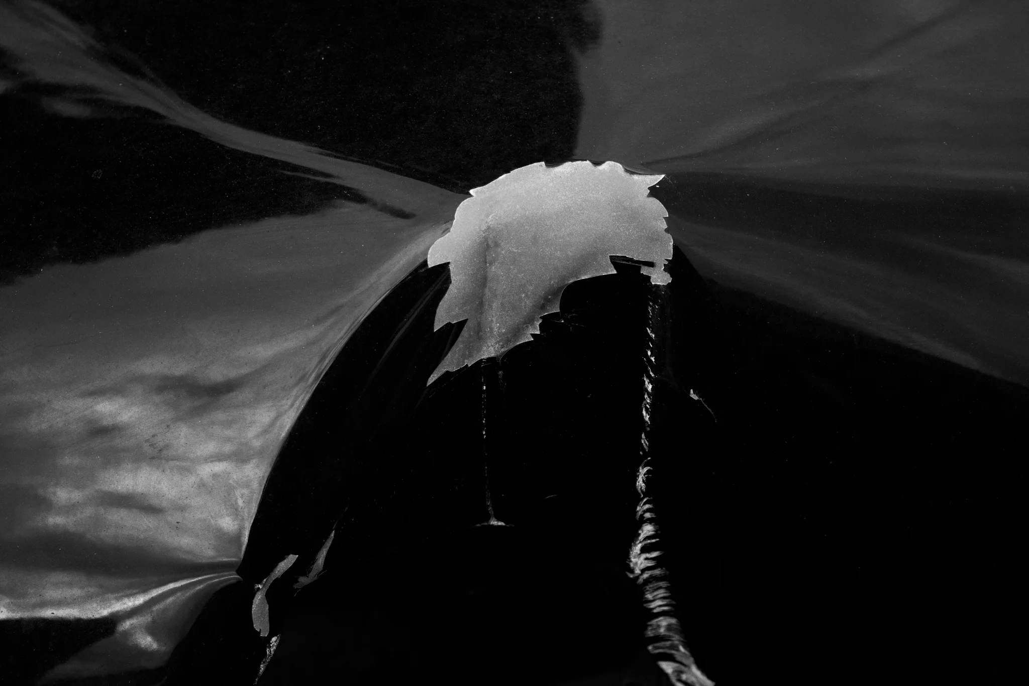 Éclosion IX ·